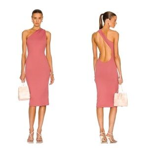 NWT ALIX NYC Andes One Shoulder Open Back Bodycon Midi Dress Pink Hibiscus XS